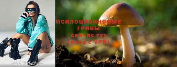 бошки Балахна