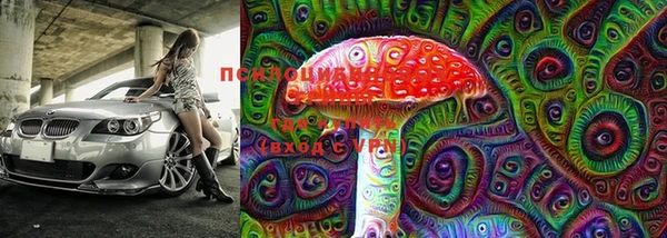 бошки Балахна