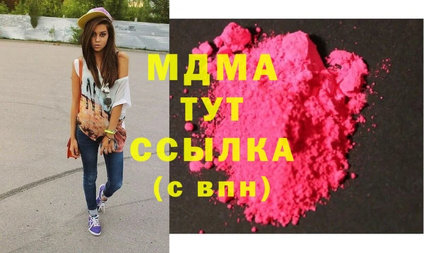 прущие грибы Вязьма