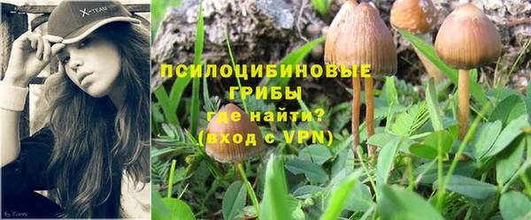 ешки Балабаново