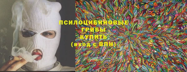 бошки Балахна
