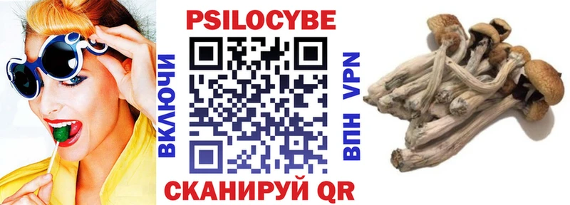 Галлюциногенные грибы Cubensis  Духовщина 